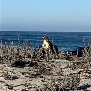 Meet your Posher, Charlotte